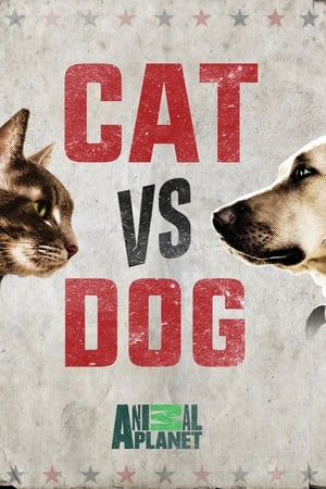 Cat vs. Dog Cat vs. Dog-hd