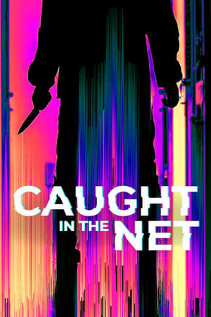 Caught in the Net-hd