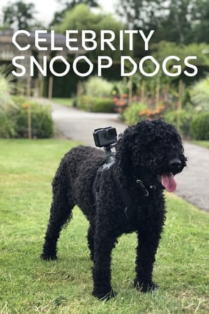 Celebrity Snoop Dogs Celebrity Snoop Dogs-hd