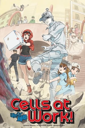 Cells at Work! Cells at Work!-hd