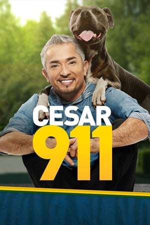 Cesar 911-hd
