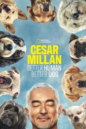 Cesar Millan: Better Human, Better Dog Cesar Millan: Better Human, Better Dog-hd