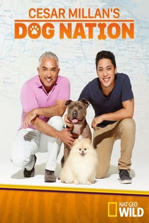 Cesar Millan's Dog Nation Cesar Millan's Dog Nation-hd