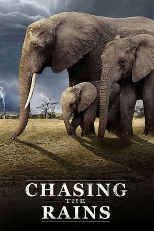 Chasing the Rains Chasing the Rains-hd