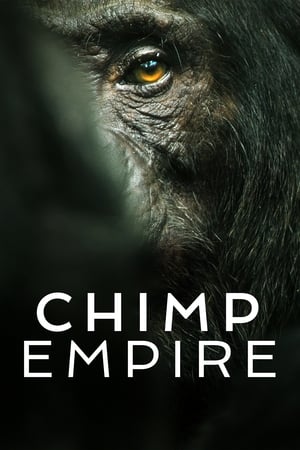 Chimp Empire Chimp Empire-hd