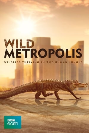 Cities: Nature's New Wild Cities: Nature's New Wild-hd