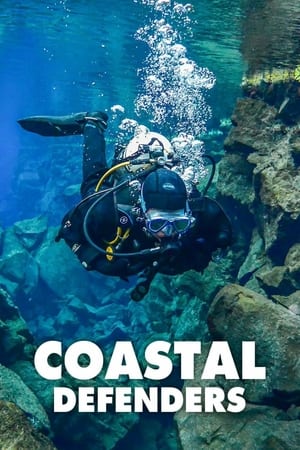 Coastal Defenders-hd