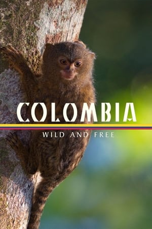 Colombia - Wild and Free Colombia - Wild and Free-hd