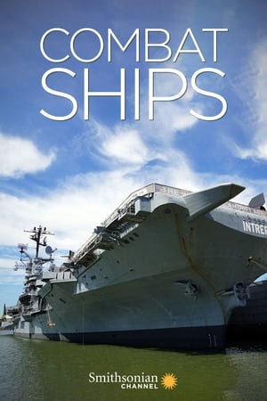 Combat Ships Combat Ships-hd