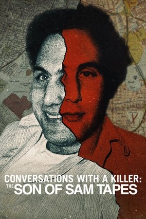 Conversations with a Killer: The Son of Sam Tapes-hd