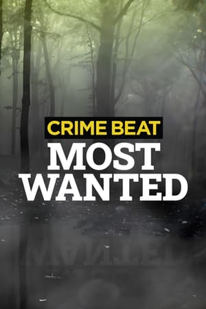 Crime Beat: Most Wanted-hd