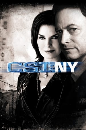 CSI: NY-hd