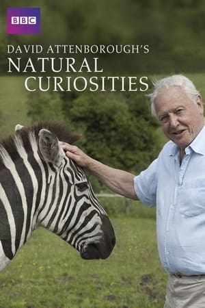 David Attenborough's Natural Curiosities David Attenborough's Natural Curiosities-hd
