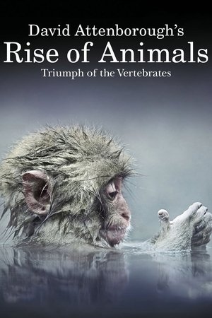 David Attenborough's Rise of Animals: Triumph of the Vertebrates David Attenborough's Rise of Animals: Triumph of the Vertebrates-hd