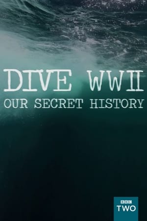 Dive WWII : Our secret history-hd