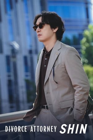 Divorce Attorney Shin-hd