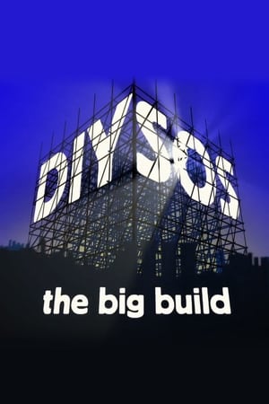 DIY SOS-hd