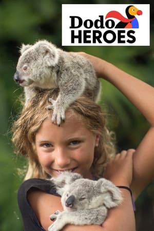Dodo Heroes-hd