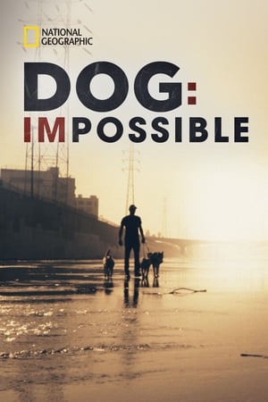 Dog: Impossible Dog: Impossible-hd