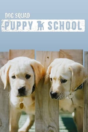 Dog Squad Puppy School Dog Squad Puppy School-hd