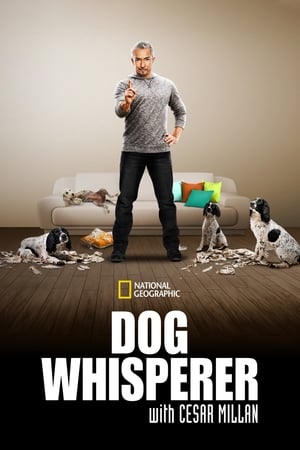 Dog Whisperer Dog Whisperer-hd