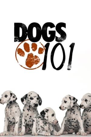 Dogs 101 Dogs 101-hd