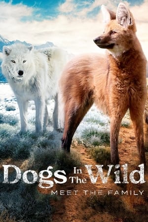 Dogs in the Wild: Meet the Family Dogs in the Wild: Meet the Family-hd