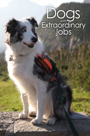 Dogs with Extraordinary Jobs-hd