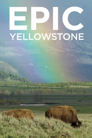 Epic Yellowstone Epic Yellowstone-hd