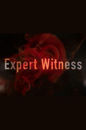 Expert Witness-hd