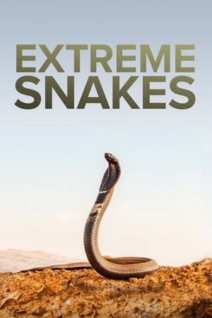 Extreme Snakes-hd
