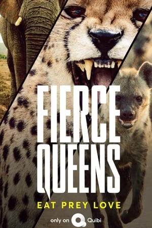 Fierce Queens-hd
