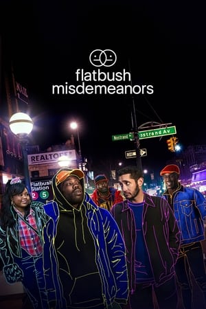 Flatbush Misdemeanors Flatbush Misdemeanors-hd