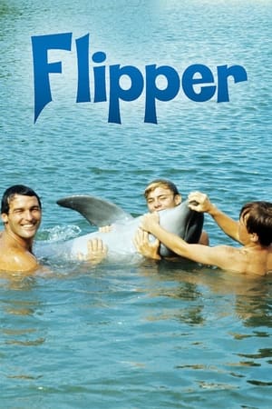 Flipper Flipper-hd