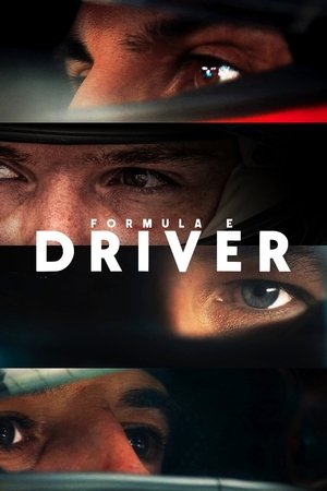 Formula E: DRIVER-hd