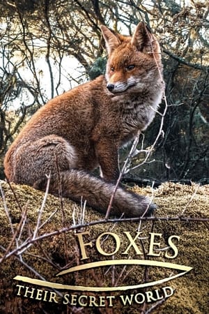 Foxes: Their Secret World Foxes: Their Secret World-hd