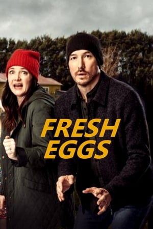 Fresh Eggs-hd