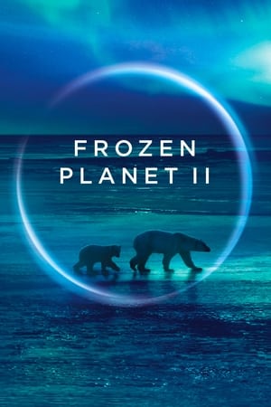 Frozen Planet II Frozen Planet II-hd