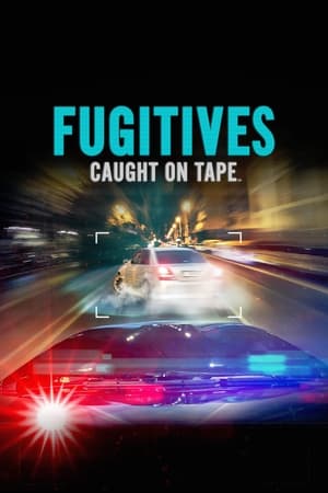 Fugitives Caught on Tape-hd