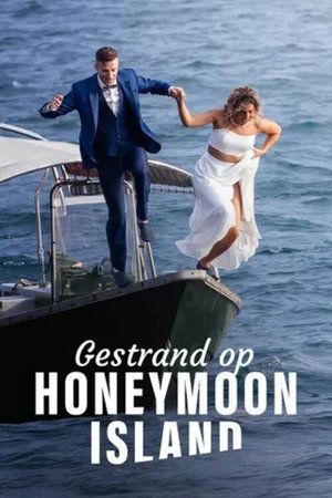 Gestrand op Honeymoon Island-hd