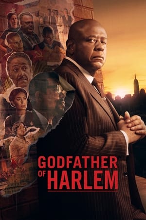 Godfather of Harlem-hd