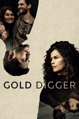 Gold Digger Gold Digger-hd