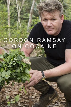 Gordon Ramsay on Cocaine-hd