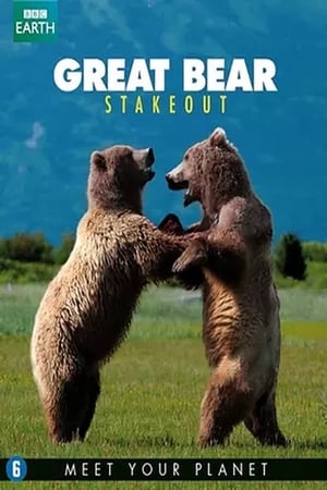 Great Bear Stakeout-hd