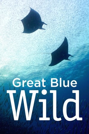 Great Blue Wild Great Blue Wild-hd