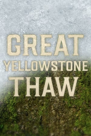 Great Yellowstone Thaw-hd