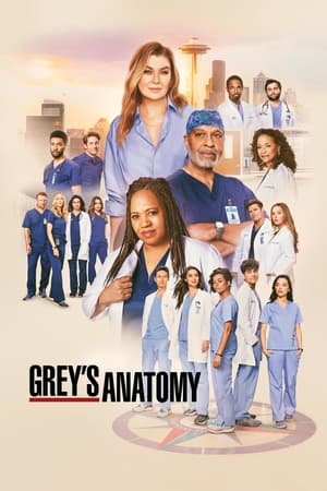 Grey's Anatomy-hd