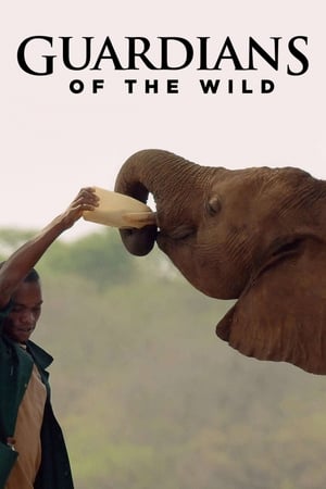 Guardians of the Wild Guardians of the Wild-hd