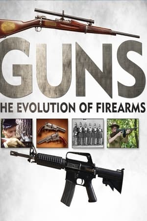 Guns: The Evolution of Firearms Guns: The Evolution of Firearms-hd