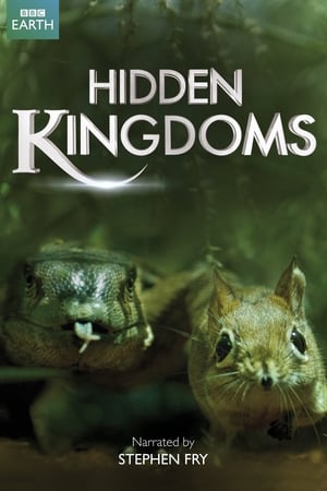 Hidden Kingdoms Hidden Kingdoms-hd
